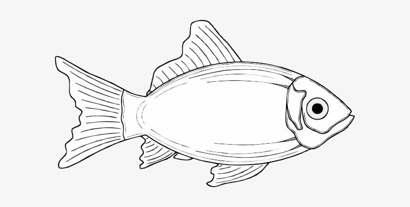 Clipart Info - Fish Clip Art, transparent png #3277555