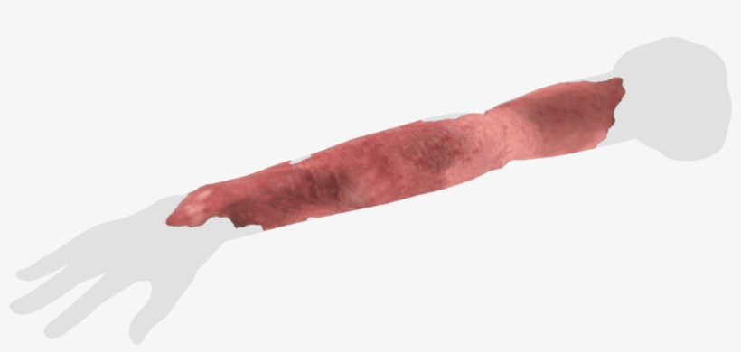 Hololens - Cervelat, transparent png #3277937