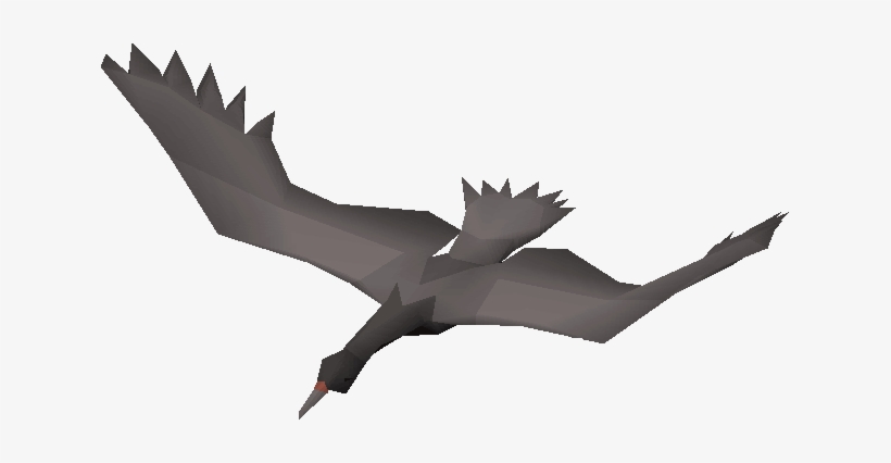 Cormorant - Wiki, transparent png #3278562
