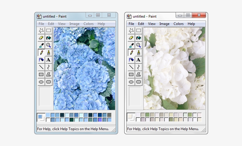Rottngirl - Paint Windows Tumblr Png, transparent png #3278655