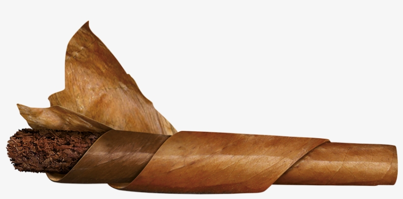 000 Cigars Made Per Day - Longhorn Steakhouse, transparent png #3280077