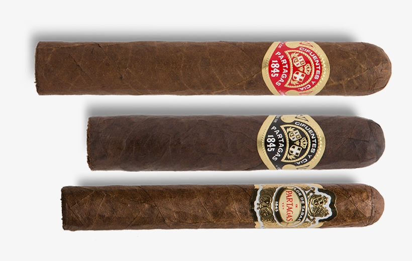 Search Now - Partagas Black Label, transparent png #3280463