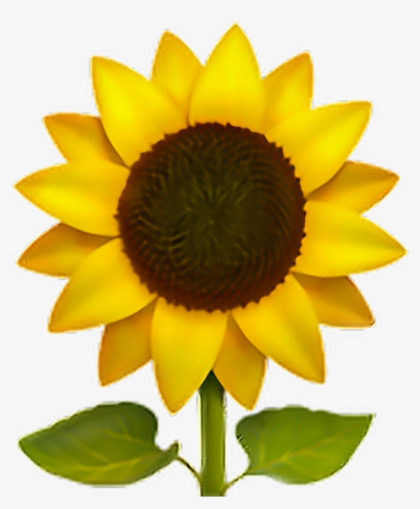 ❁ Sunflower Emoji 🌻 Sunflower Sun Flower Emoji Emotico - Sunflower Emoji Png, transparent png #3280537