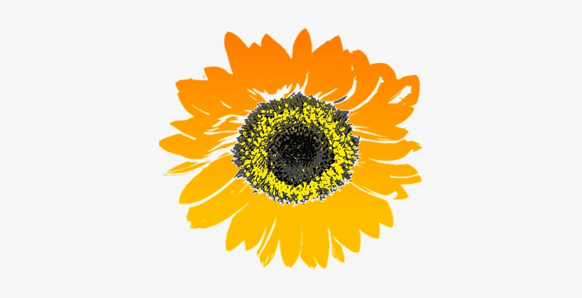 67 Free Vector Graphics Of Sunflower - Sun Flower Phone Case - Iphone 6/6s, transparent png #3280565