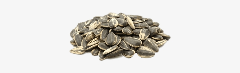 Roasted Sunflower Seeds - Buy Salted Sunflower Seeds Shell, transparent png #3280897