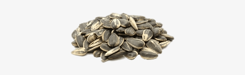 Roasted Sunflower Seeds - Buy Salted Sunflower Seeds Shell, transparent png #3280897