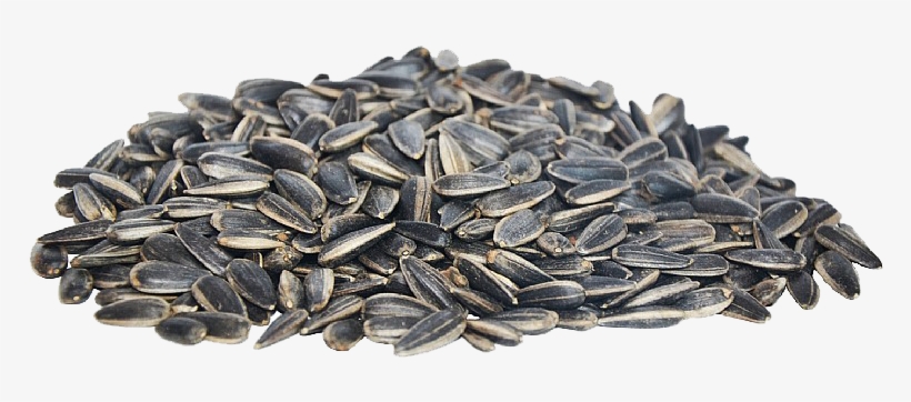 Sunflower Seeds - Roasted Sunflower Seeds, transparent png #3280974