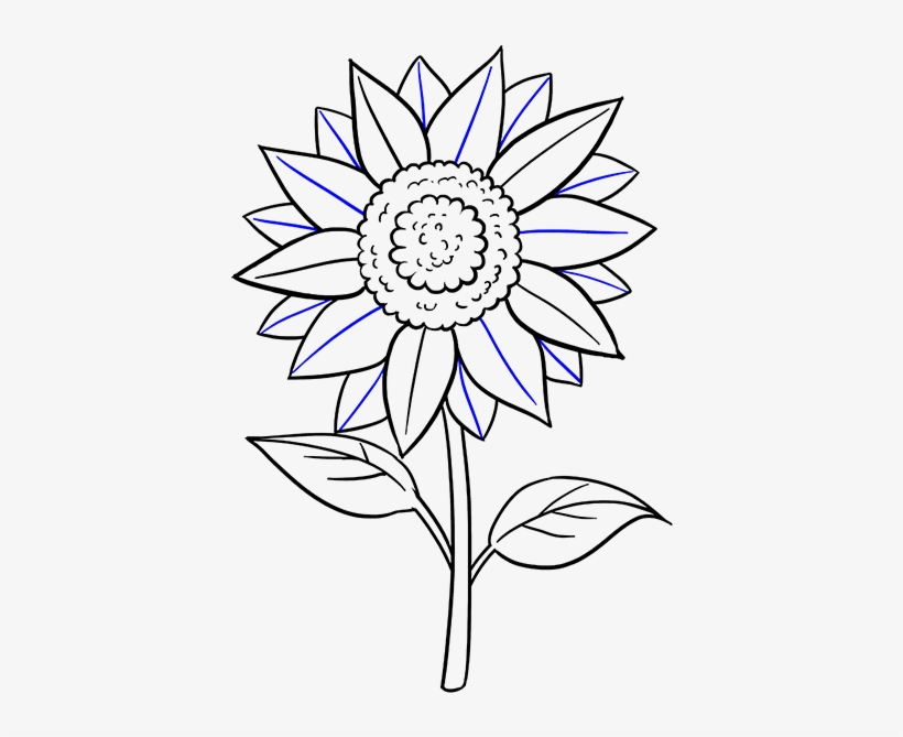 Drawn Sunflower Easy - Sunflower Drawing Step By Step Easy, transparent png #3280996