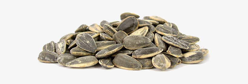 Sunflower Seeds - Nuts.com Roasted Sunflower Seeds (salted, In Shell), transparent png #3281045