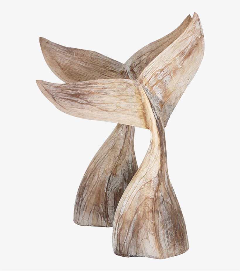 Whale Tail M - Carving, transparent png #3281072
