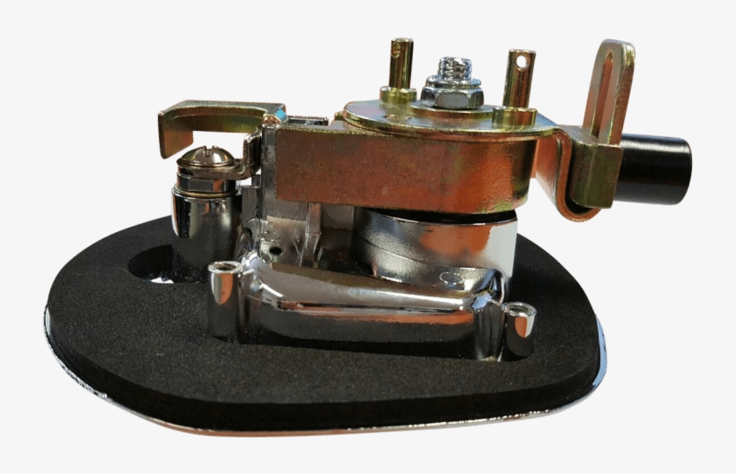 Whale Tail Underside 2 - Whale Tail Locks, transparent png #3281374