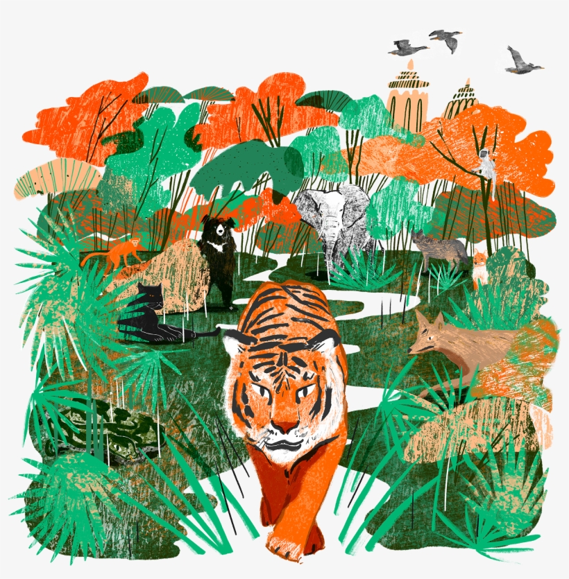 Mike Unwin Travelled To India's Madhya Pradesh To Follow - Jungle Book Illustration, transparent png #3281644
