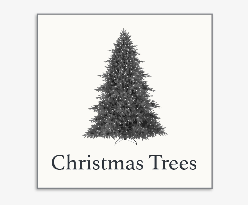 Christmas Trees - Balsam Hill Aspen Christmas Signature 9' Silver Fir, transparent png #3281850