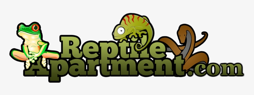 Back Home - " - Logo Of Store Reptile, transparent png #3282186