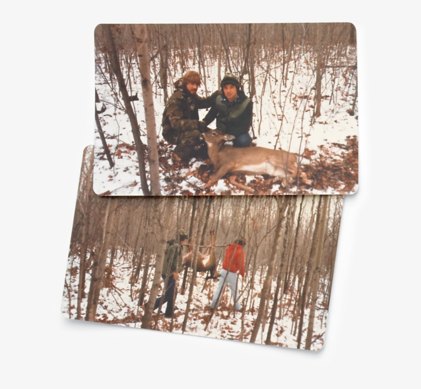 20 Memories Of The Return Of The Whitetail Deer - Snow, transparent png #3282397