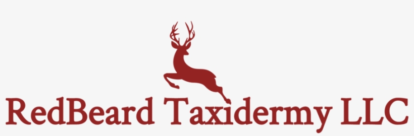 Redbeard Taxidermy Llc-logo - Portable Network Graphics, transparent png #3282468