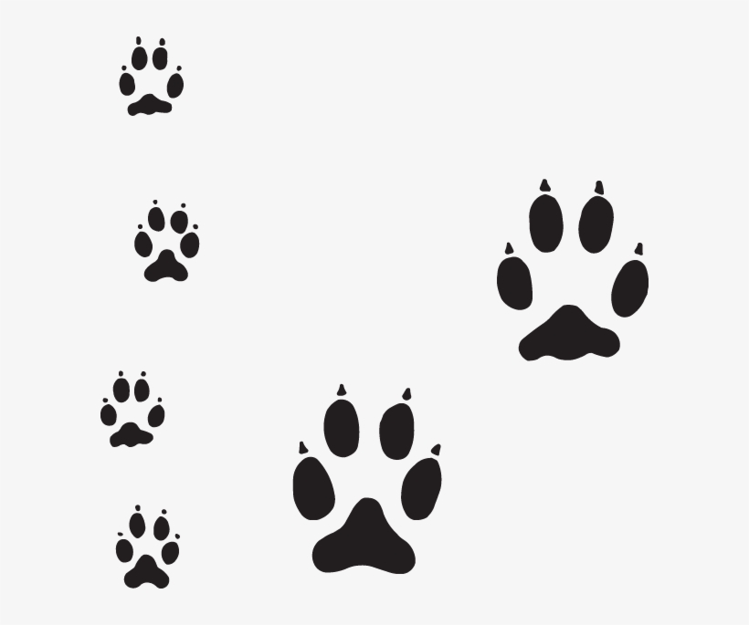 Dog Paw Tracks, transparent png #3282946