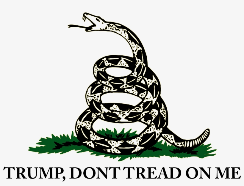 Gadsden Flag - Don T Grab My Pussy, transparent png #3284140