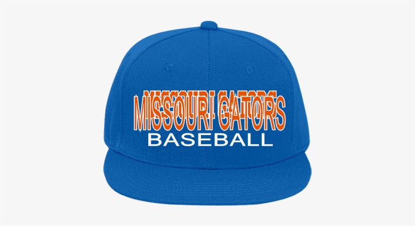 Missouri Gators Missouri Gators Baseball - Ktm, transparent png #3284334