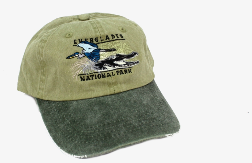 Baseball - Florida Gators - Baseball Cap, transparent png #3284357