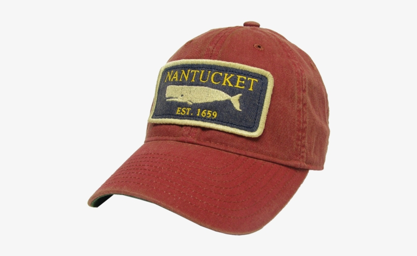 Orthopedic Foundation For Animals, transparent png #3284508