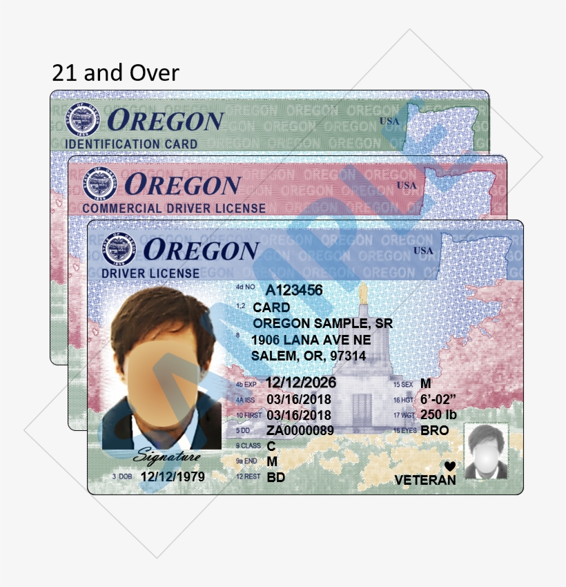 Uses Nation-wide Standards For Layout And Content, - Cash, transparent png #3285626