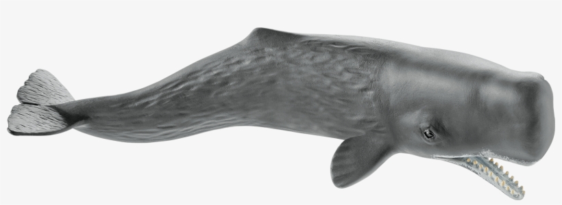 Schleich 14764 Sperm Whale, , Large - Schleich - Sperm Whale 14764, transparent png #3285677