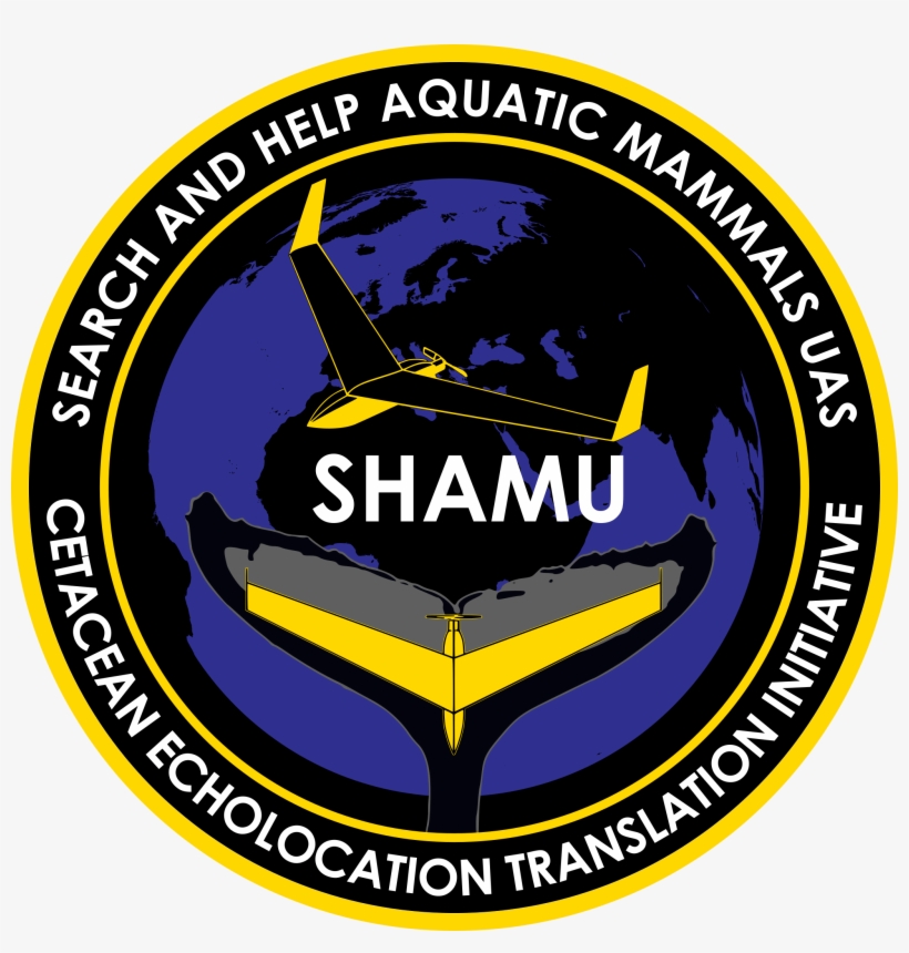 Marine Sound Pollution, Mass Beachings, And Ship Strikes - Obama Farewell Speech Stage, transparent png #3285919