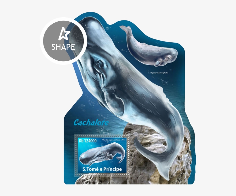 Issue Of Sao Tome And Principe Postage Stamps - São Tomé And Príncipe, transparent png #3285936