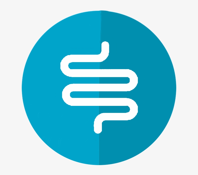 Bowel Movements Per Day - Teeth Png, transparent png #3286401