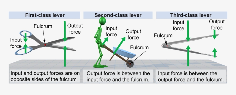 Three Different Classes Of Levers - Physics, transparent png #3286797