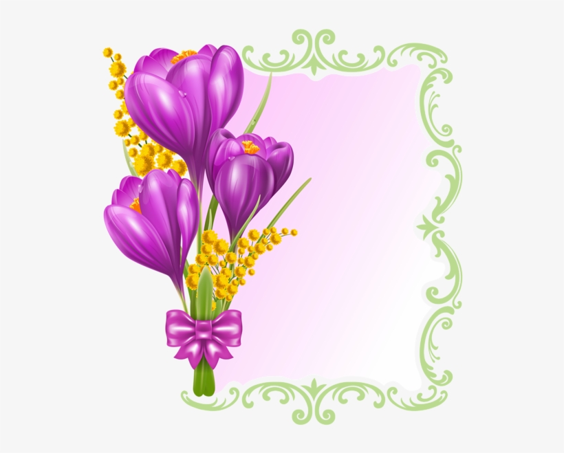 Tavaszi Dekoratív Blank Png Clipart - Elizabeth's Kitchen To You: Elizabeth's Recipe Book, transparent png #3288730