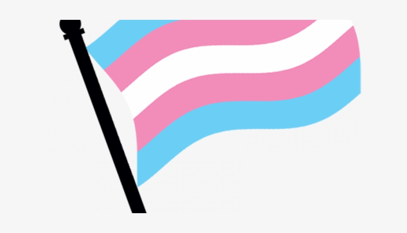 Comparative Perspectives On Transgender Identity Laws - Transgender, transparent png #3289411