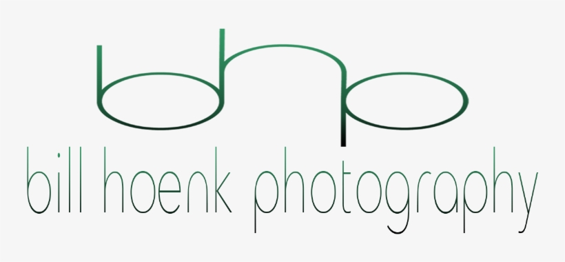Logo - Photography, transparent png #3291378