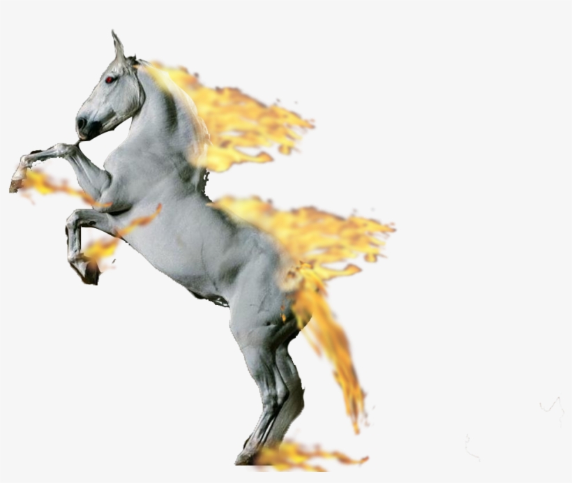 Looks Like The Second Rapidash Didn't Post Well, Here - Cheval Blanc Cabré, transparent png #3292114