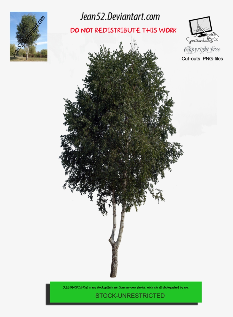 Tree Png By Jean52 - Pumpkin, transparent png #3294034