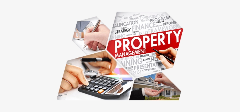 Property Management, transparent png #3295151