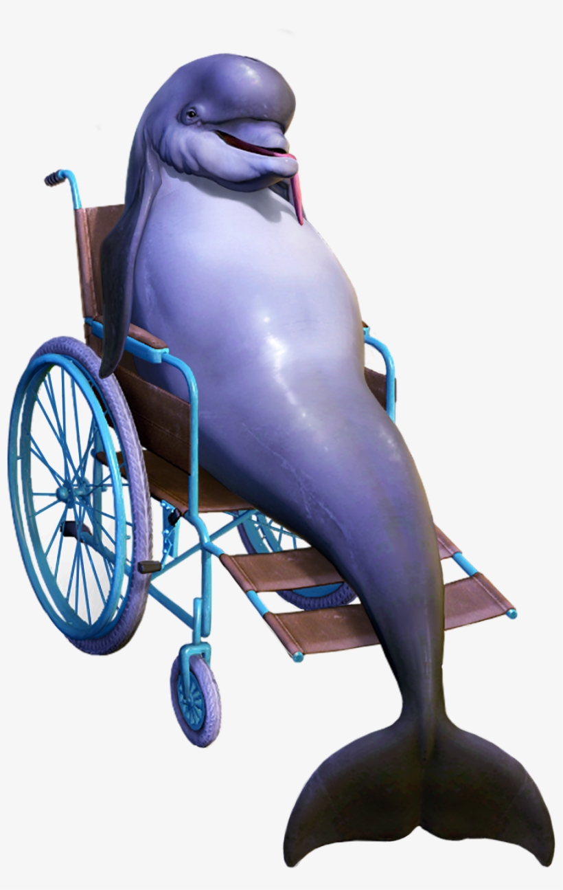 Dolph Is At Home In The Sea, But He Doesn't Let That - Dolph Spaghetti, transparent png #3295328