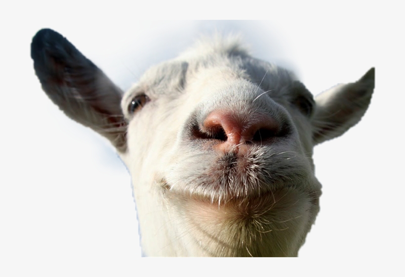 Goat Simulator 7, transparent png #3295668