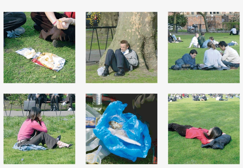 When We Go On A Picnic It Is Generally A Spontaneous, - Grass, transparent png #3296316