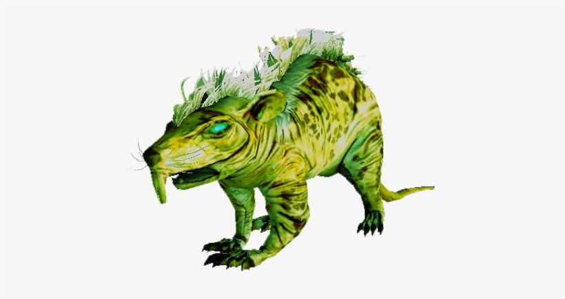 Giant Sewer Rat - Iran, transparent png #3296851