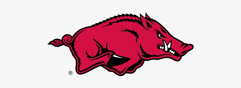 Arkansas Razorbacks - Arkansas Razorbacks Football, transparent png #3298491