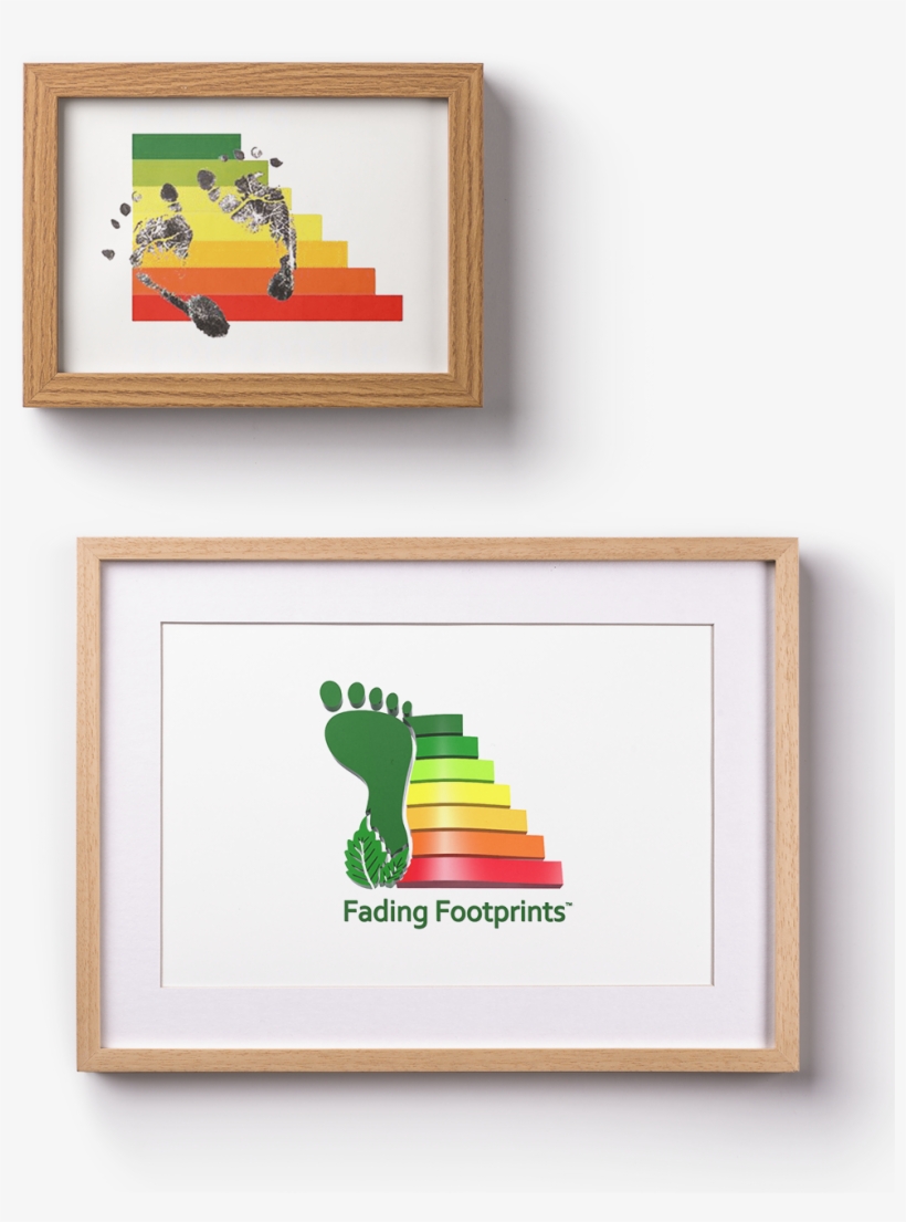 Picture Frame, transparent png #3298780