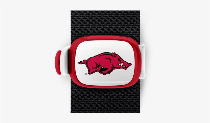 Arkansas Razorbacks Stwrap - Personalized Louisville Slugger Baseball Bat - Arkansas, transparent png #3299197