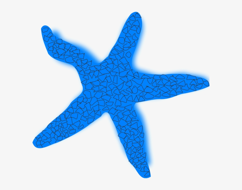 Starfish Vector Transparent - Star Fish Top View, transparent png #330200