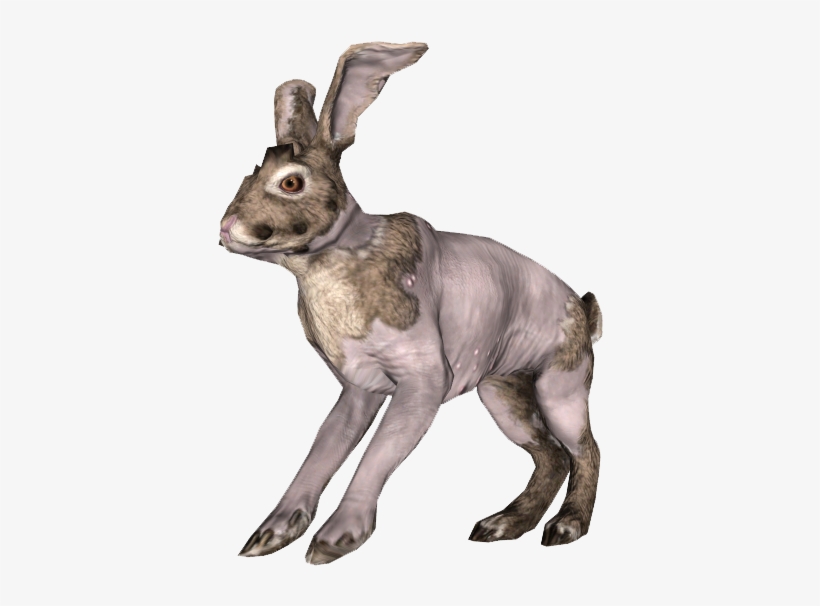 Rad Rabbit - - Rad Rabbit Fallout 4, transparent png #330909