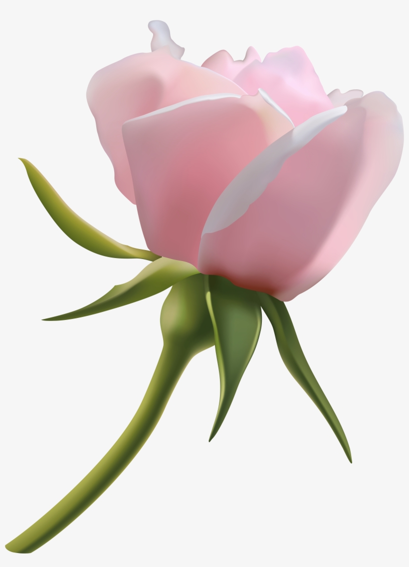 Cb Edits Rose Png, transparent png #331035