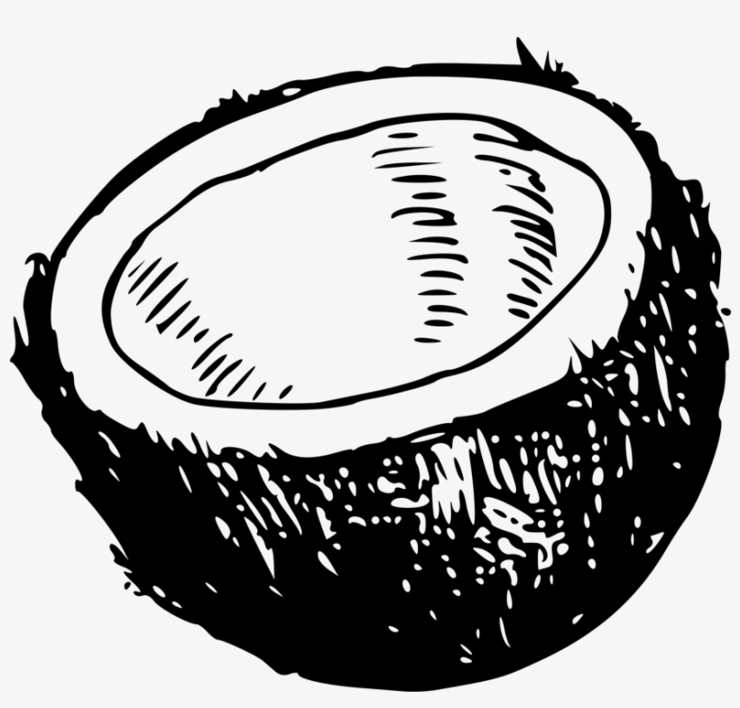 Coconut Clipart Black And White - No Cuts No Buts No Coconuts No Cuts No Buts No Coconuts, transparent png #331168