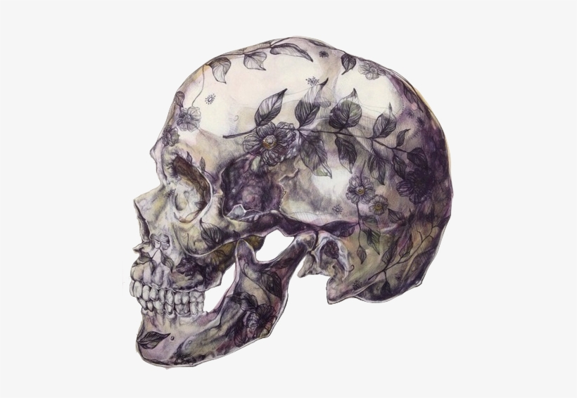 Transparency Shit Blunt Transparent Tumblr - Floral Skull Illustration Hd, transparent png #331240