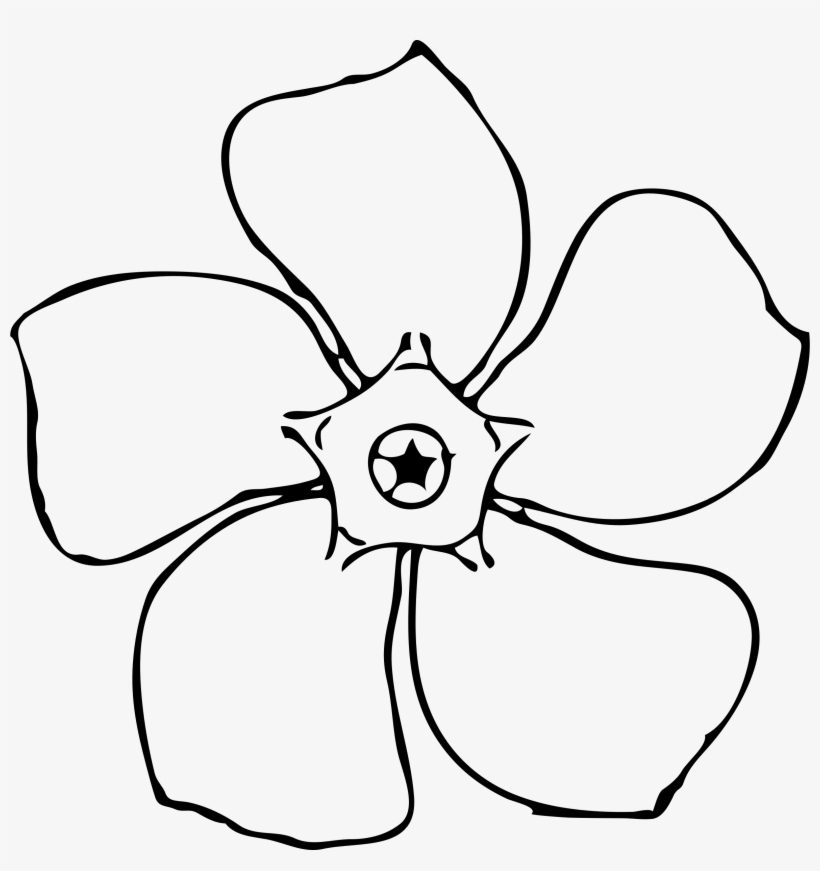 Images For Magnolia Flower - Periwinkle Flower Outline, transparent png #331364